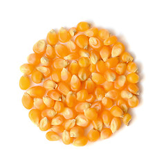 Image showing corn grains close up