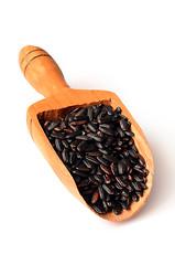 Image showing Uncooked Black Rice