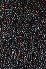 Image showing Uncooked Black Rice