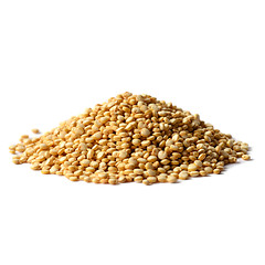 Image showing white quinoa seeds