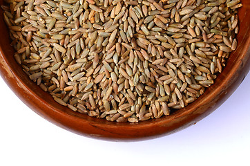 Image showing rye grain seeds