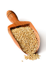 Image showing white quinoa seeds