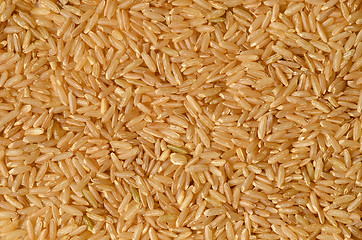 Image showing brown rice uncooked