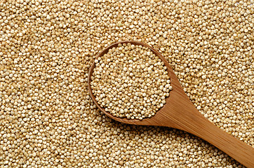 Image showing white quinoa seeds