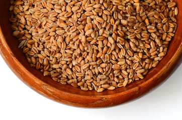 Image showing Uncooked wheat grain