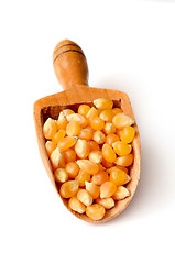 Image showing corn grains close up