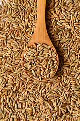 Image showing rye grain seeds