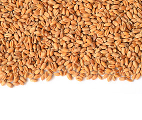 Image showing Uncooked wheat grain