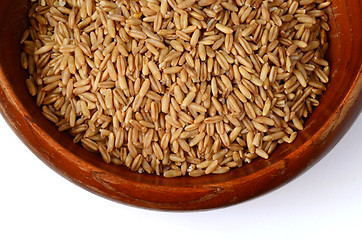 Image showing whole oat seeds