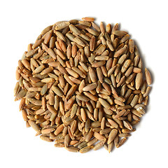 Image showing rye grain seeds