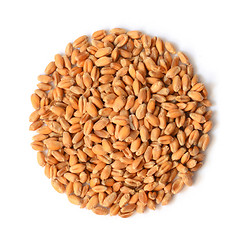 Image showing Uncooked wheat grain