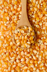 Image showing corn grains close up