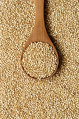 Image showing white quinoa seeds