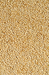 Image showing white quinoa seeds
