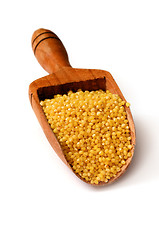 Image showing raw yellow millet