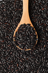 Image showing Uncooked Black Rice