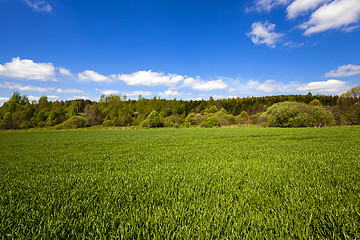 Image showing agricultural field ,  forest.