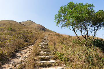Image showing Autumn Lantau peak 