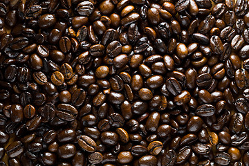 Image showing Coffee bean