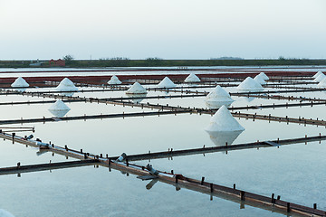 Image showing Salt farm