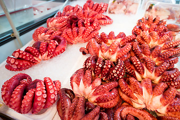 Image showing Octopus in Japanese wet market