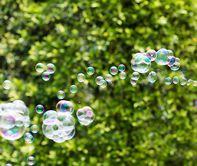 Image showing Bubbles