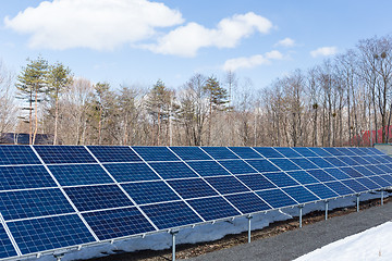 Image showing Solar Panels in forest