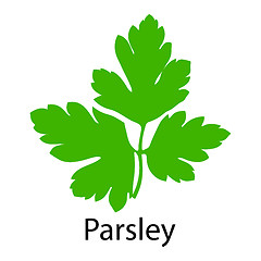 Image showing Parsley icon