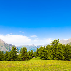 Image showing Italian Alps