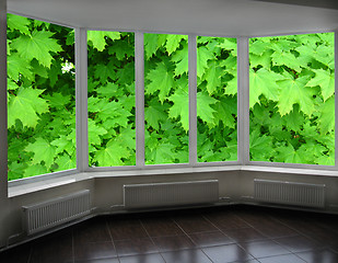 Image showing plastic windows of veranda overlooking the green maple