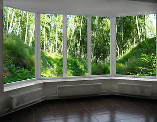 Image showing window of veranda overlooking the beautiful birchwood