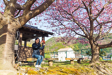 Image showing Woman take image by cellphone under sakura tree