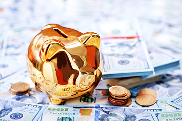 Image showing Piggy bank and money