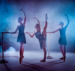 Image showing The young ballerinas stretching on the bar 