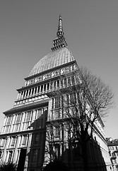 Image showing Mole Antonelliana in Turin in black_and_white