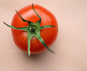 Image showing Red tomato vegetables