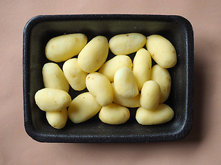 Image showing Potato vegetables in a tub