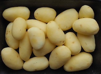 Image showing Potato vegetables in a tub