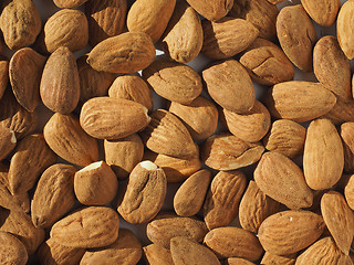 Image showing Almonds dried fruit