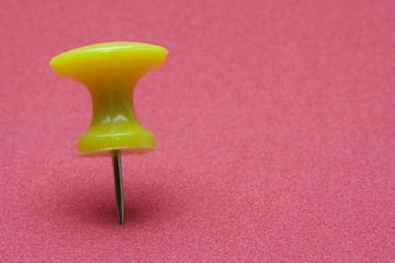 Image showing Pin in a sponge