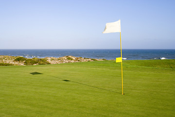 Image showing Green in a golf course