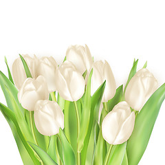 Image showing Bouquet of white tulips. EPS 10