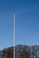 Image showing Flag pole without a flag