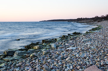 Image showing Evening light by a stony coast