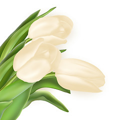 Image showing Bouquet of white tulips. EPS 10