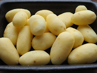 Image showing Potato vegetables in a tub