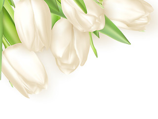 Image showing Bouquet of white tulips. EPS 10