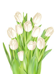 Image showing Tulips decorative background. EPS 10