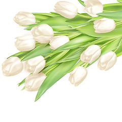 Image showing Bouquet of white tulips. EPS 10