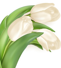 Image showing Tulips decorative background. EPS 10